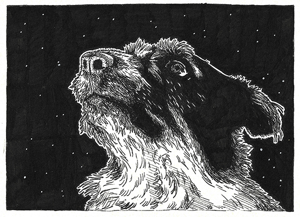 Dessin du chien de berger noir et blanc réalisé à la main en noir et blanc avec staedler pigment liner