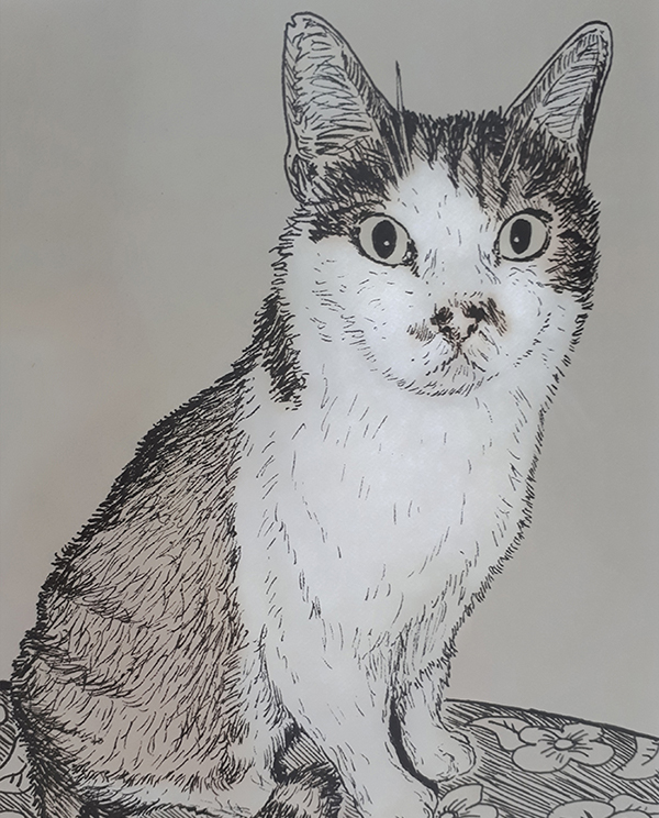 Avancement du dessin du chat tigré roux et blanc réalisé à la main en noir et blanc avec staedler pigment liner