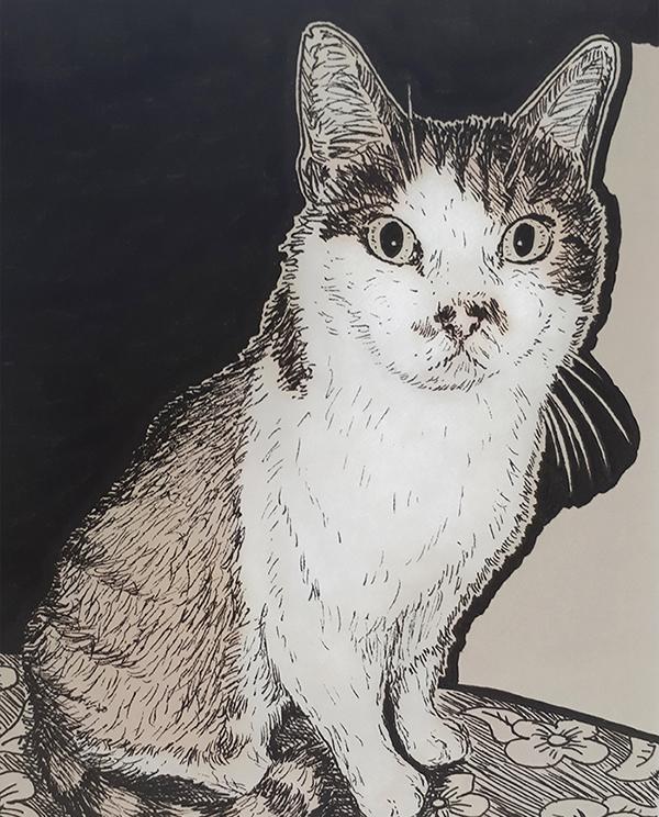 Avancement du dessin du chat tigré roux et blanc réalisé à la main en noir et blanc avec staedler pigment liner