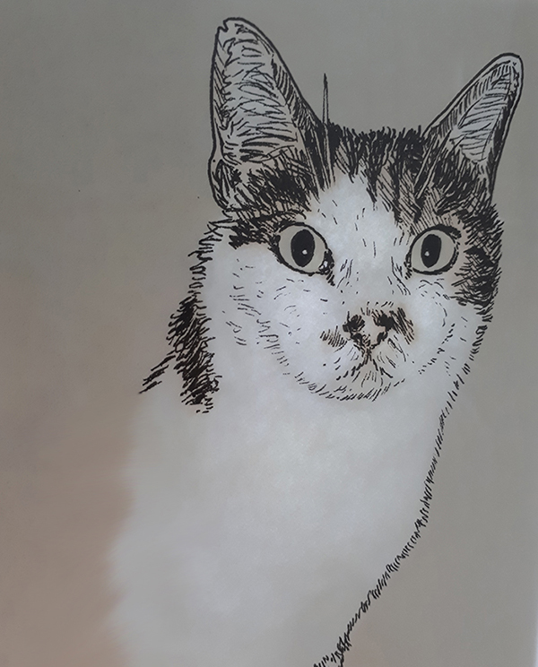 Avancement du dessin du chat tigré roux et blanc réalisé à la main en noir et blanc avec staedler pigment liner