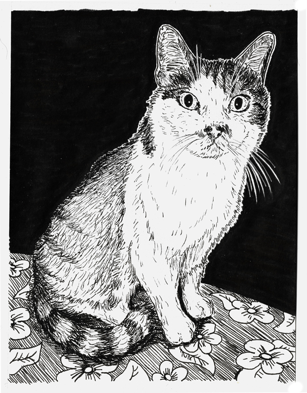 Dessin du chat tigré roux et blanc réalisé à la main en noir et blanc avec staedler pigment liner