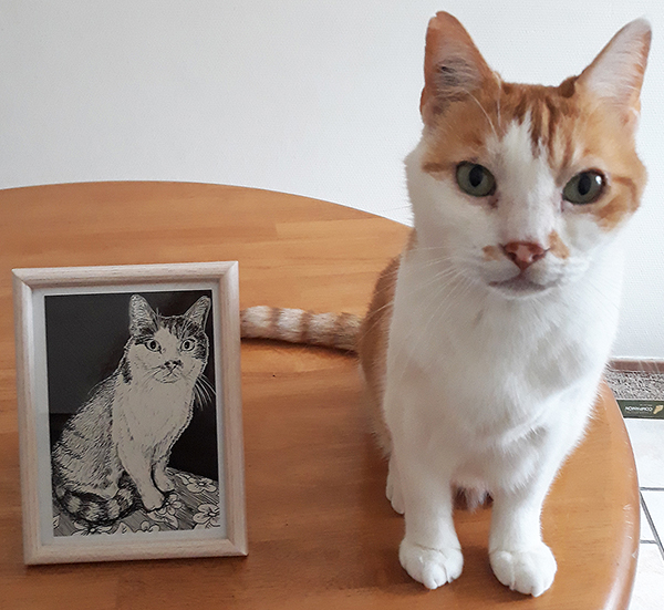 Aperçu une fois mise en cadre d'un dessin de chat tigré roux et blanc réalisé à la main en noir et blanc avec staedler pigment liner